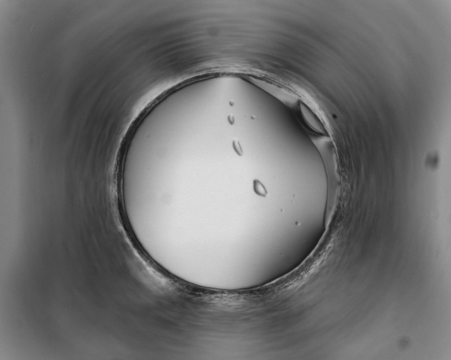 X0000099441141200805301445