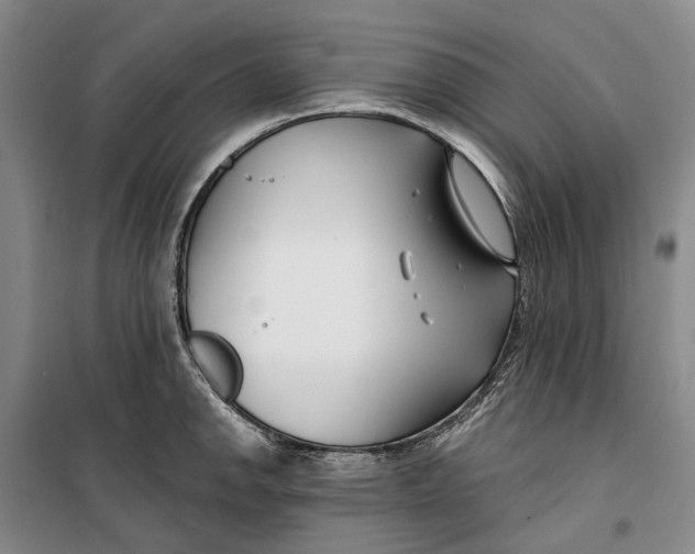 X0000099441142200805301445