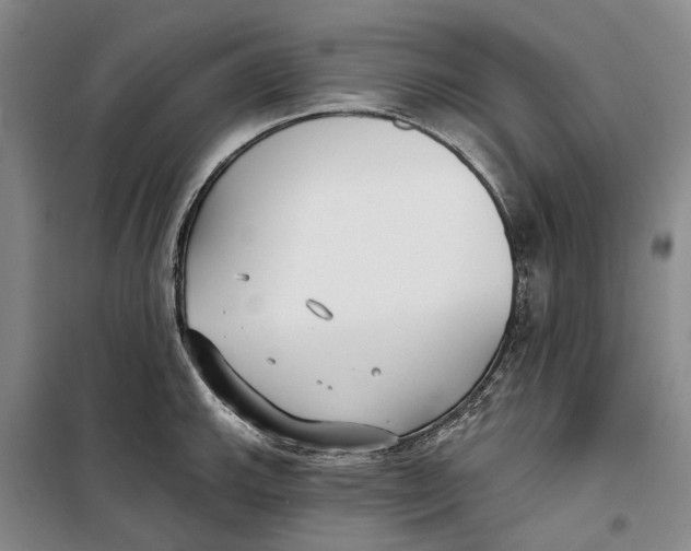 X0000099441143200805301445