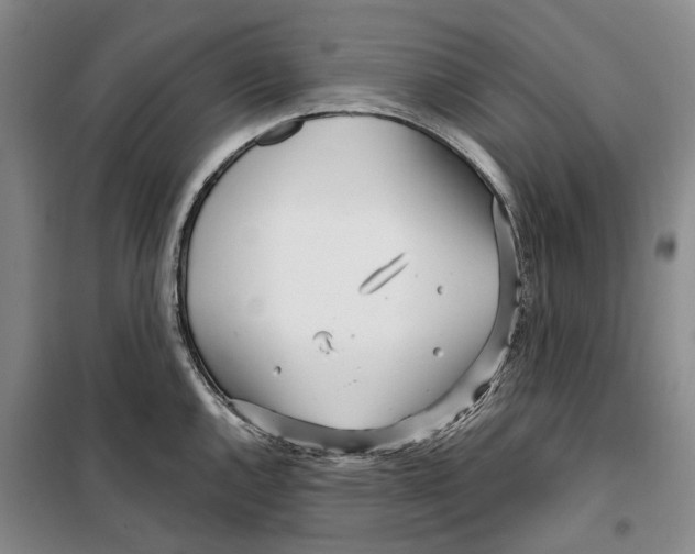 X0000099441144200805301445