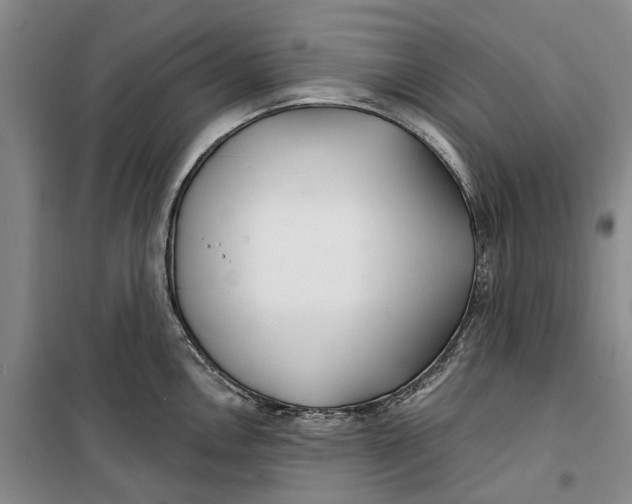 X0000099441146200805301445