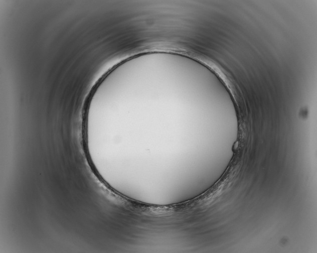 X0000099441147200805301445