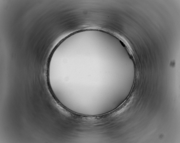 X0000099441149200805301445