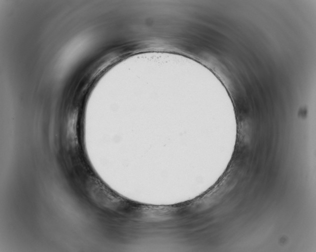 X0000099441150200805301445