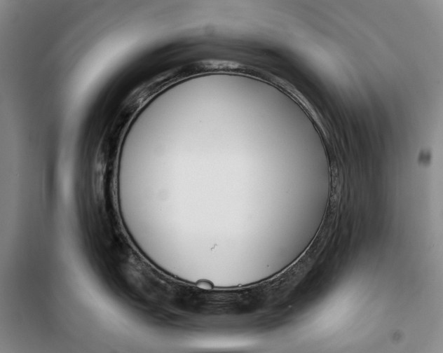 X0000099441151200805301445