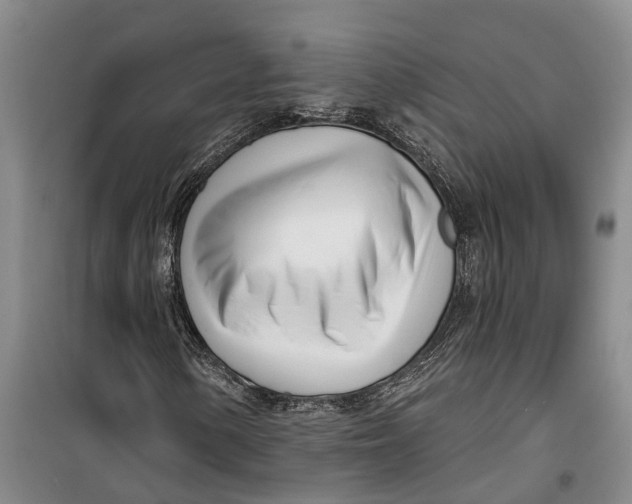 X0000099441154200805301445