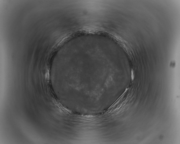 X0000099441155200805301445