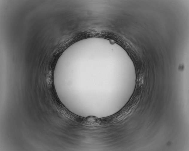 X0000099441156200805301445