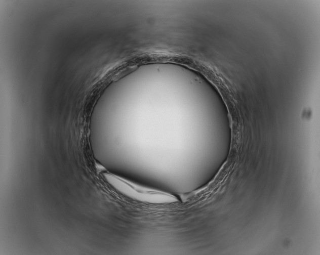X0000099441157200805301444