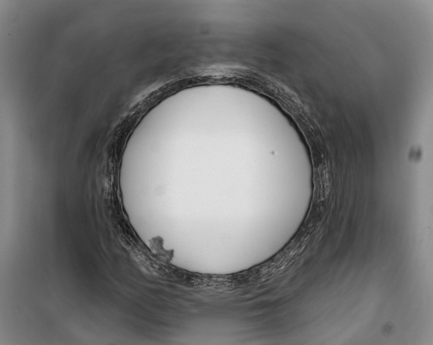 X0000099441158200805301444