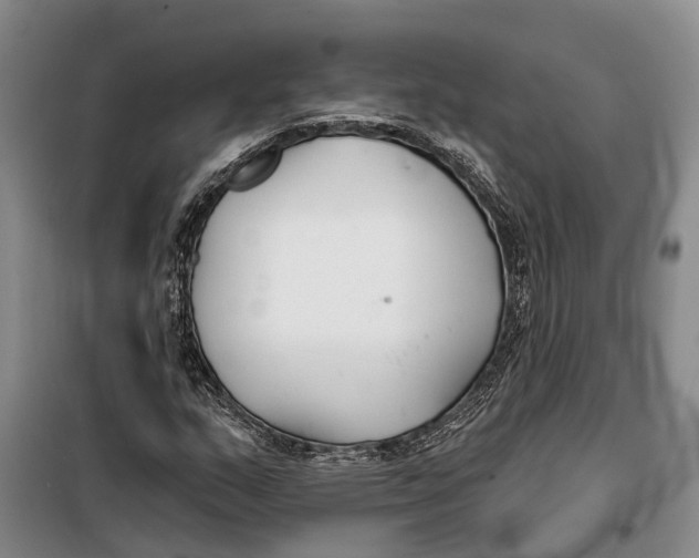X0000099441159200805301444