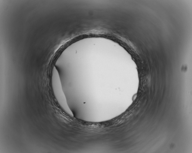 X0000099441160200805301444