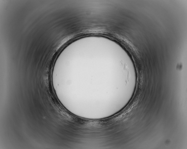 X0000099441162200805301444