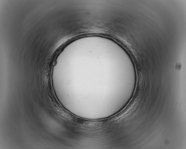 X0000099441163200805301444