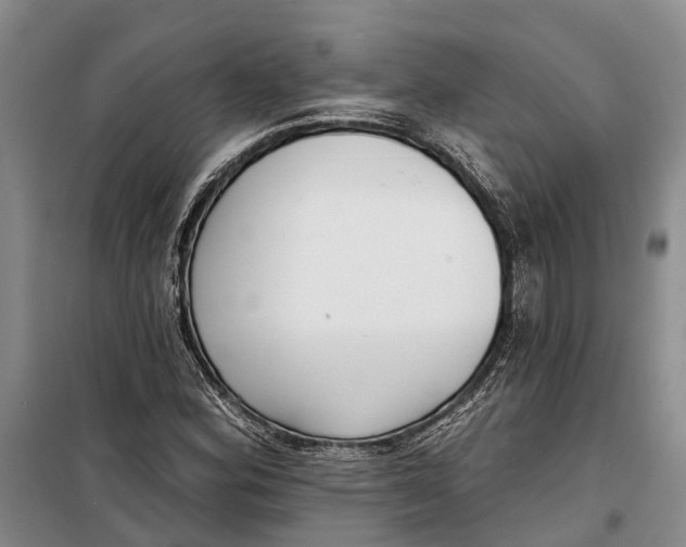 X0000099441164200805301444