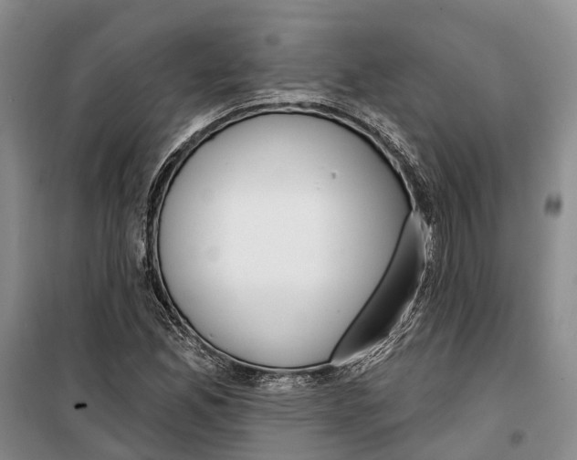 X0000099441165200805301444