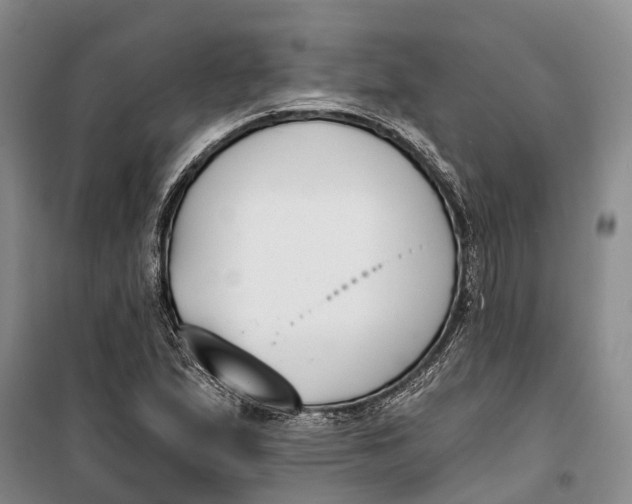 X0000099441167200805301444