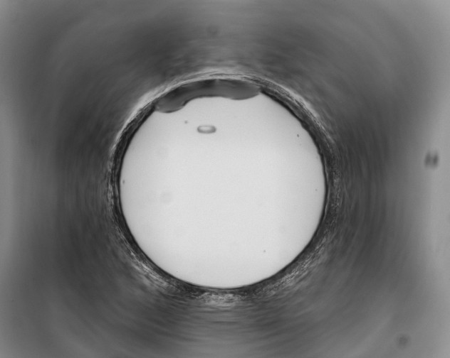 X0000099441168200805301444