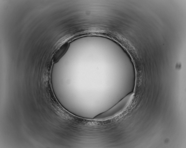 X0000099441169200805301444