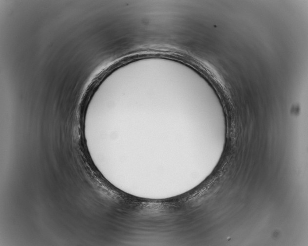 X0000099441172200805301444