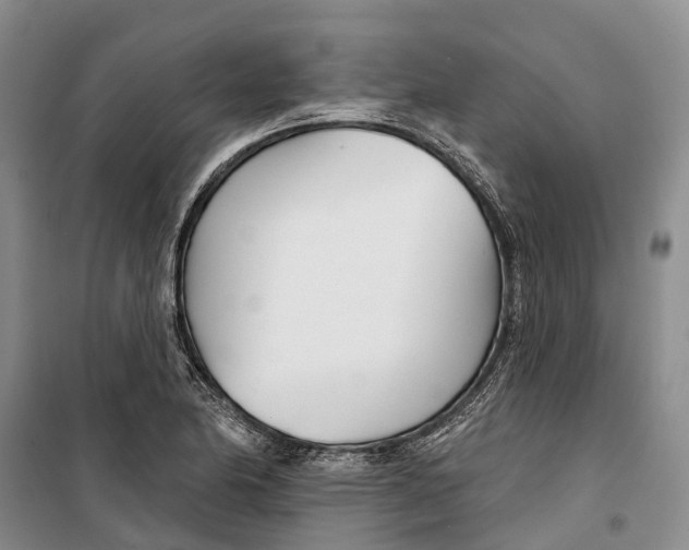 X0000099441174200805301444