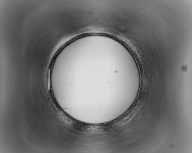 X0000099441175200805301444