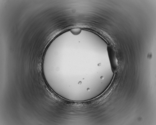 X0000099441177200805301444