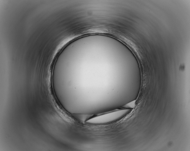 X0000099441179200805301444