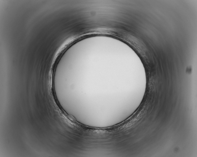 X0000099441180200805301444