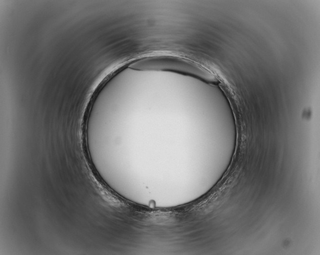 X0000099441181200805301444