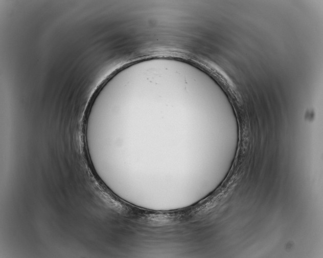 X0000099441182200805301444