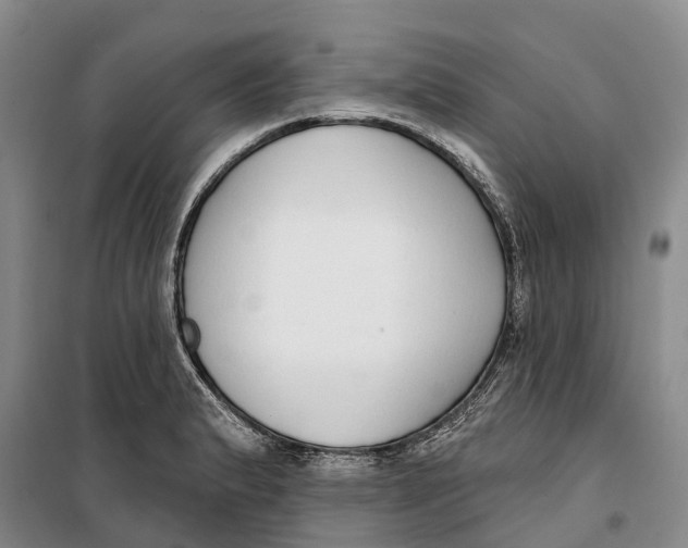 X0000099441183200805301444