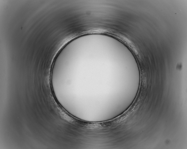X0000099441186200805301444