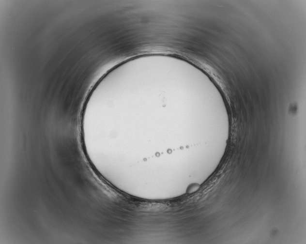 X0000099441187200805301444