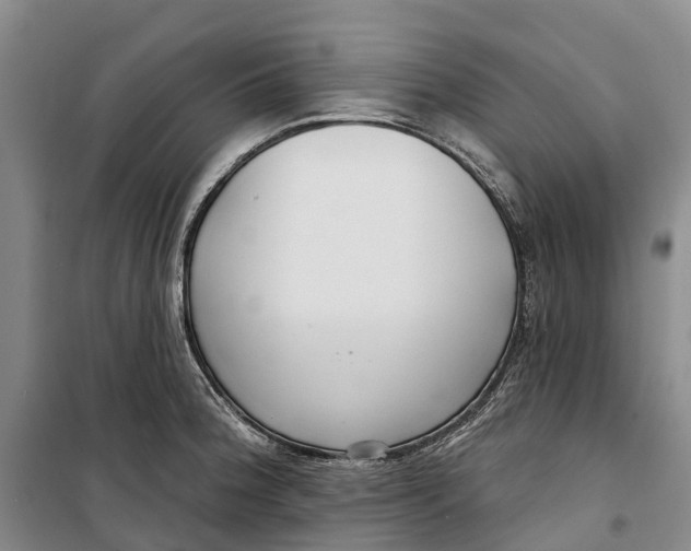 X0000099441188200805301444