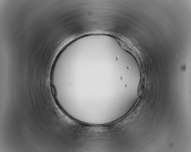 X0000099441189200805301444