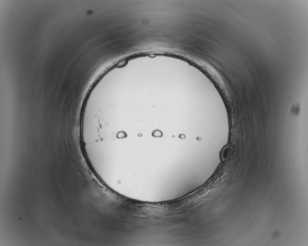 X0000099441191200805301444