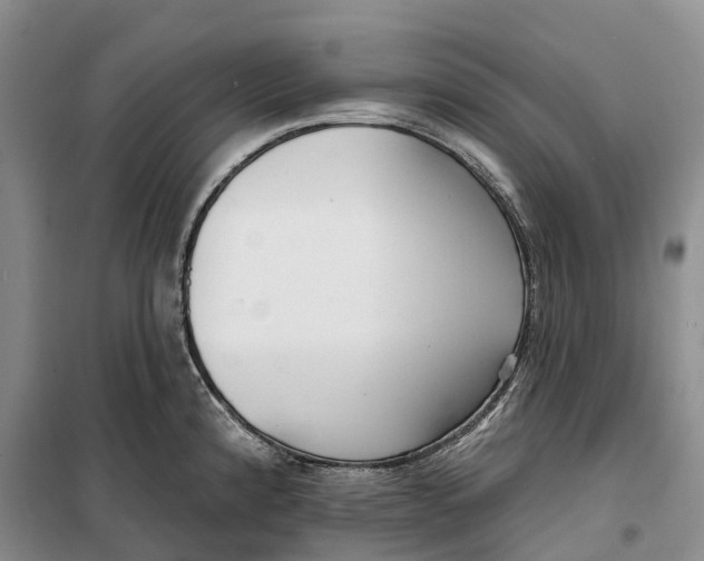 X0000099441192200805301444