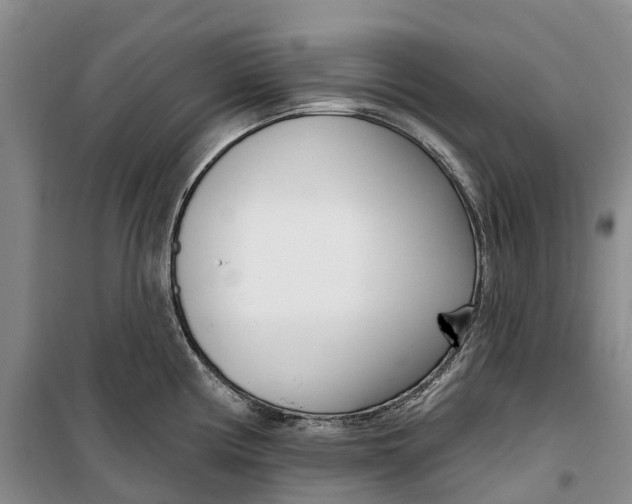 X0000099441194200805301444