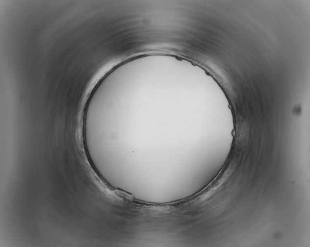X0000099441196200805301444