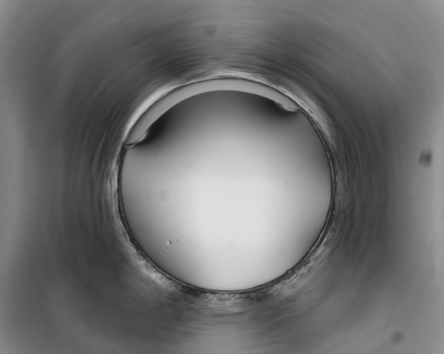 X0000099441198200805301444