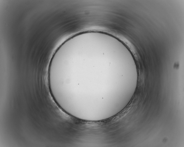 X0000099441199200805301444