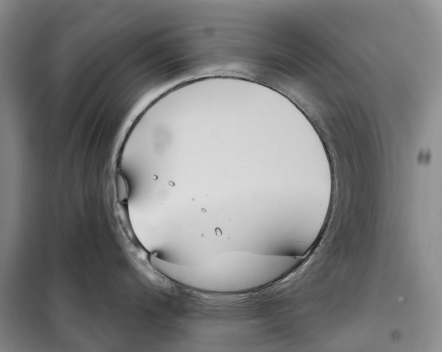 X0000099441200200805301444