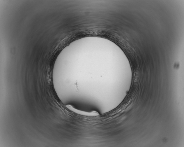 X0000099441202200805301443