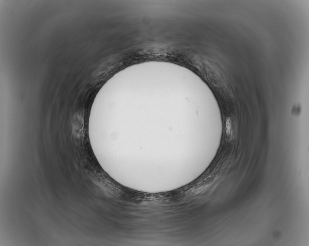 X0000099441203200805301443