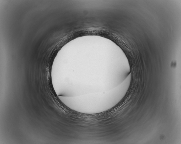 X0000099441204200805301443