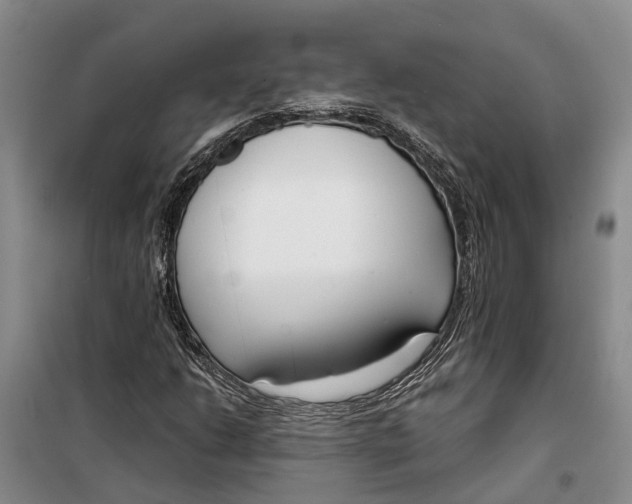 X0000099441206200805301443
