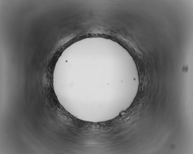 X0000099441207200805301443