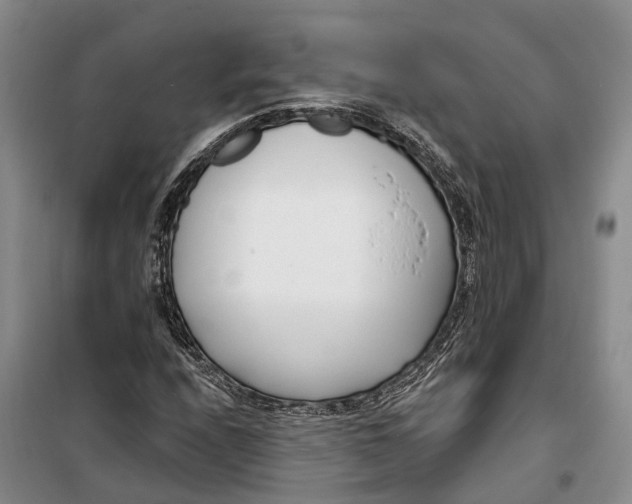 X0000099441208200805301443