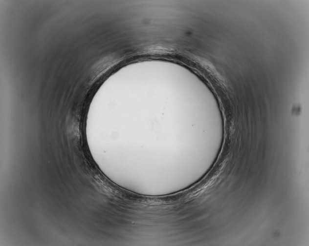 X0000099441209200805301443